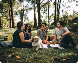 picnic day