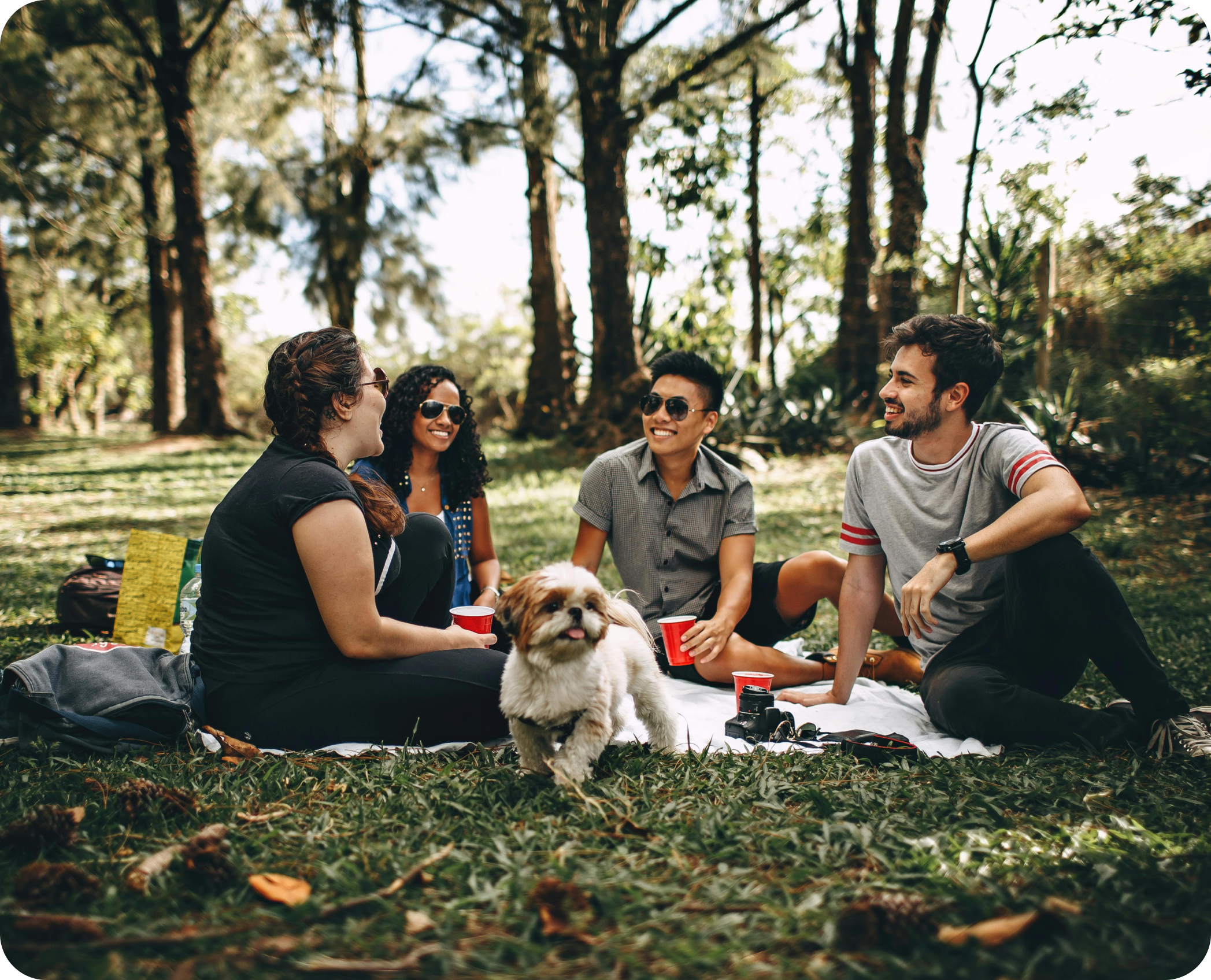 picnic day