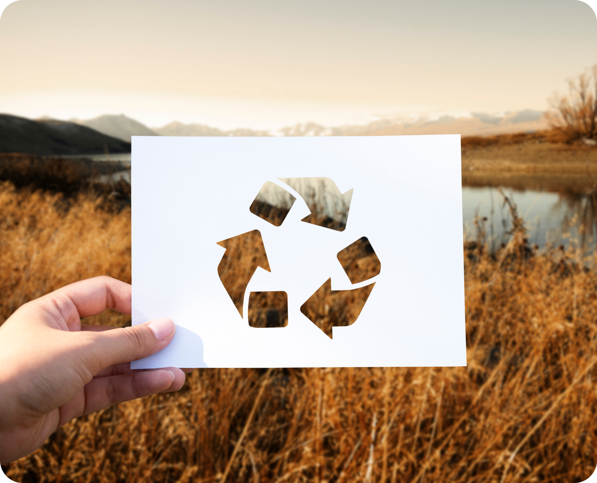 Go Paperless: é hora de deixar o papel pra lá!