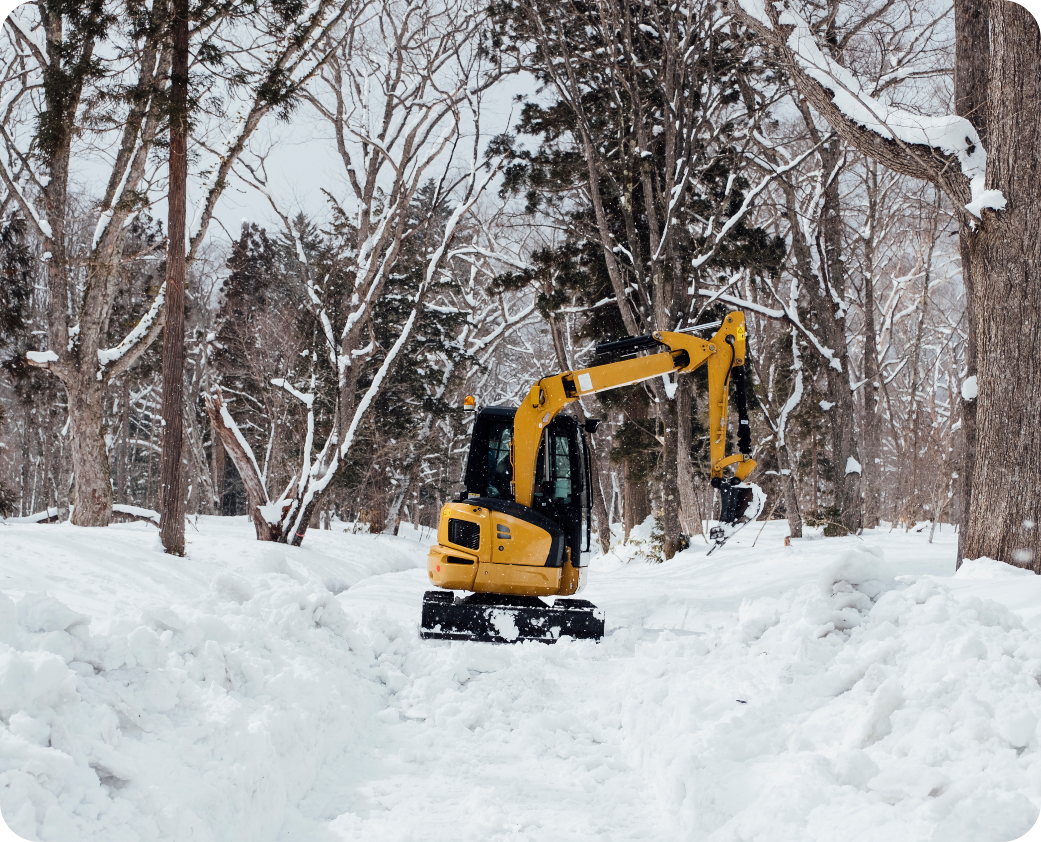 seguros neve