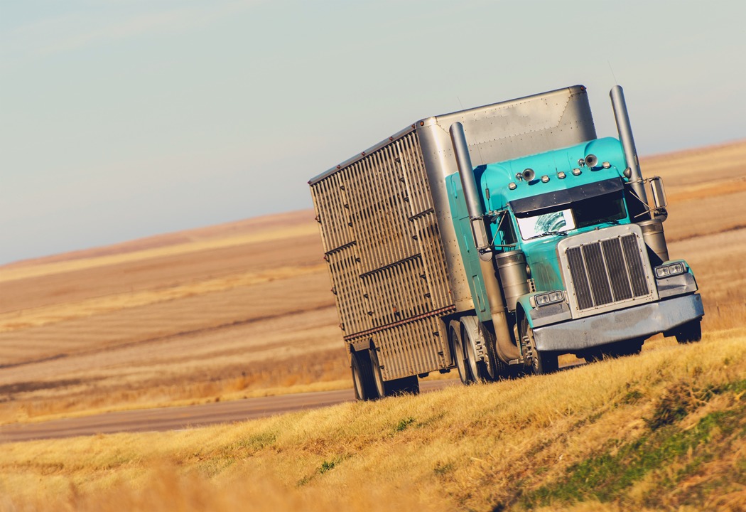 The Survival Guide For Truckers Insurance