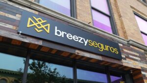 Breezy Seguro Inc. 5000